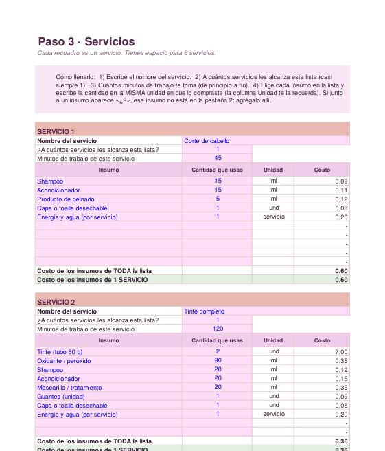 Adelanto parcial de la hoja de servicios de la plantilla, con un recuadro por servicio