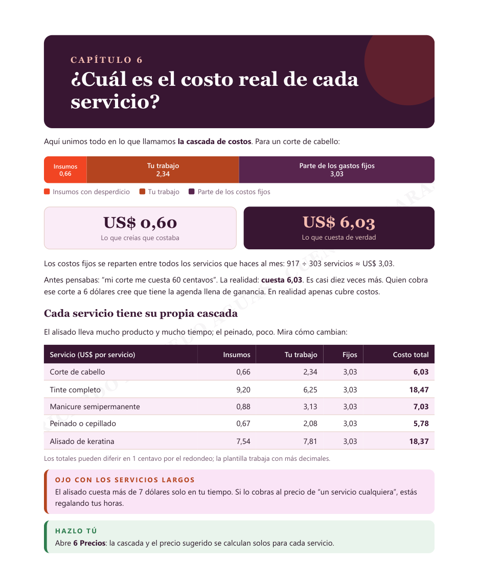 Adelanto parcial de un capítulo de la guía sobre el costo real de cada servicio